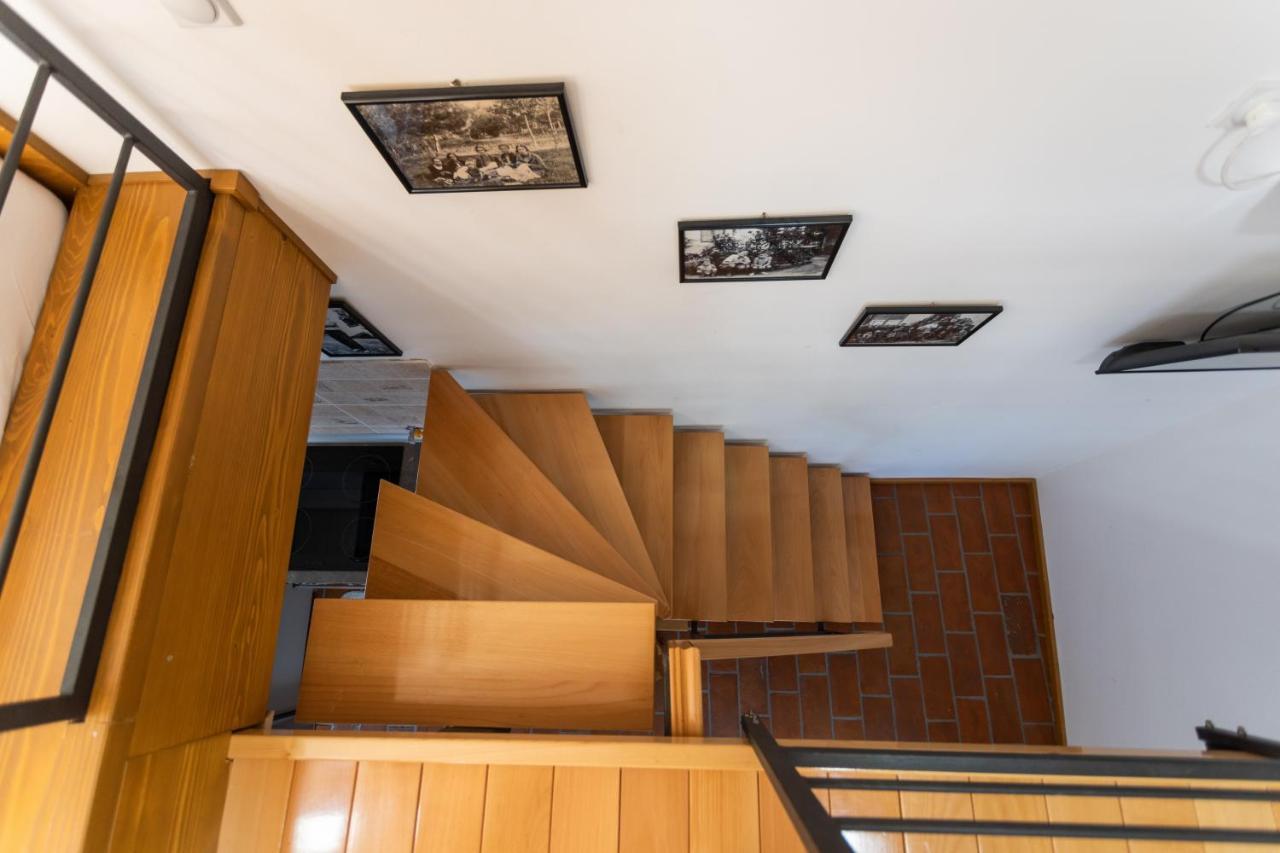 Kompleks Apartmana Superstar23A Soko Banja Ngoại thất bức ảnh
